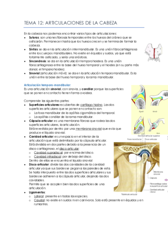 Tema-12.pdf