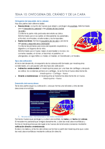 Tema-10.pdf