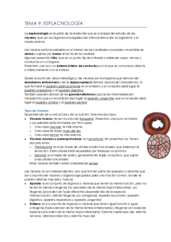 Tema-9.pdf