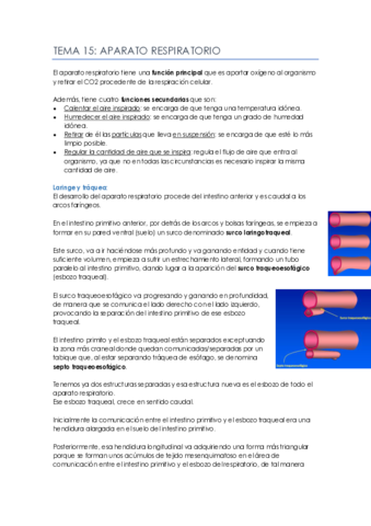 Tema-15.pdf