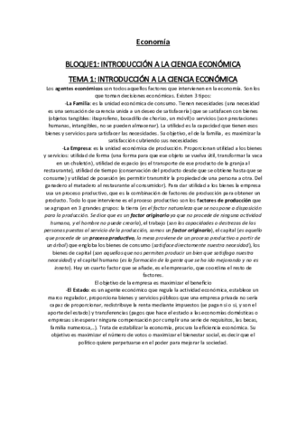 B1-Economia.pdf
