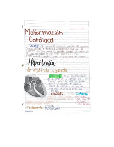 malformacion-cardiaca.pdf