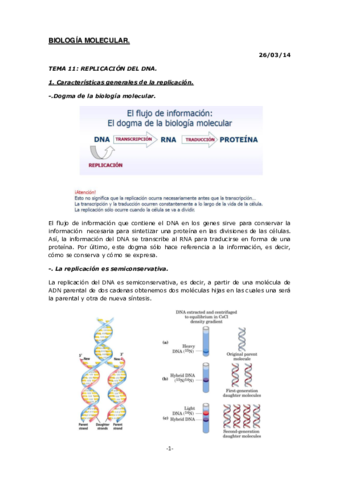 BIOLOGÍA MOLECULAR.pdf