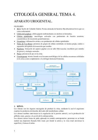 Tema 4 Citología General.pdf