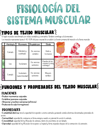 T3-Fisiologia-del-sistema-muscular.pdf