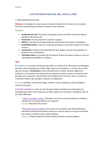 UD3-SISTEMA-MUSCULAR.pdf