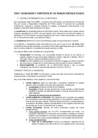 TEMA-2-ORGANIZACION-Y-COMPETENCIA.pdf