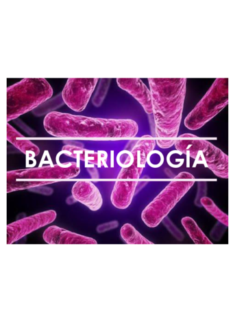 29-33-bacterias.pdf