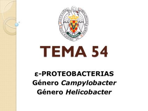 Guion-Tema-54.pdf