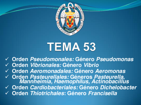 Guion-Tema-53.pdf