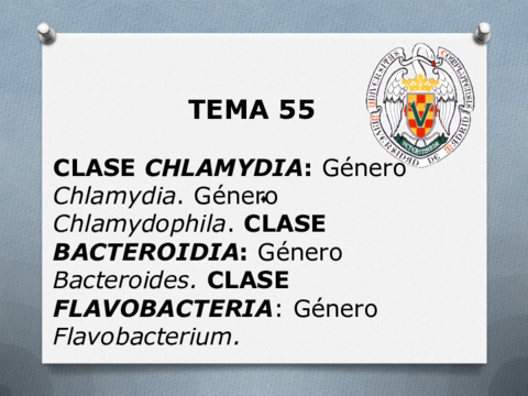 Guion-Tema-55.pdf