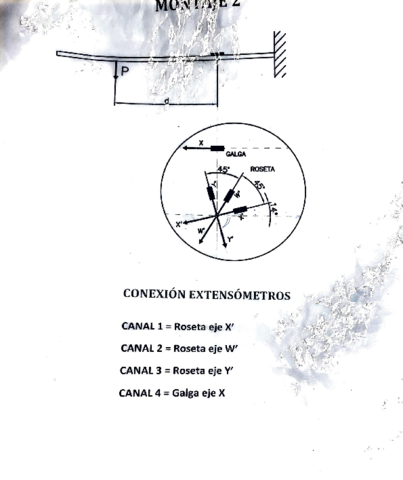 practica-Rem-Elasticidad.pdf