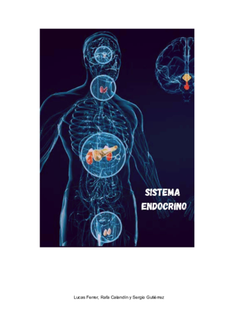 Sistema-endocrino-1.pdf