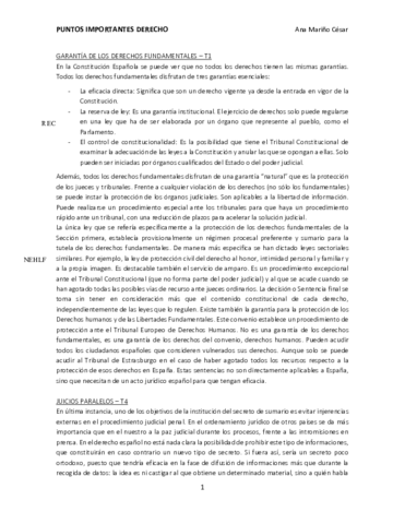 preguntas-frecuentes-e-importantes-derecho.pdf
