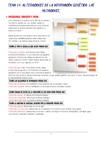 tema-14-mutaciones.pdf