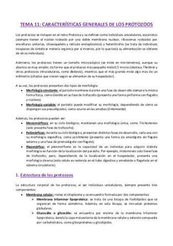 TEMA-11-Parasitologia.pdf