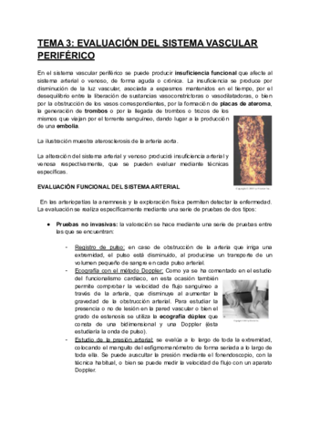 ALTERACIONES-DEL-ORGANISMO-HUMANO-Tema-3.pdf