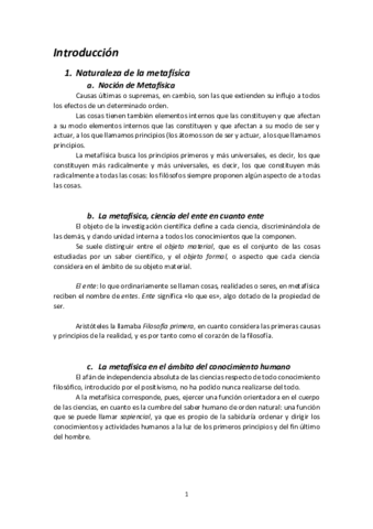 Resumen-Metafisica.pdf