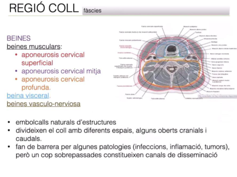 Diapositives-ALO-4.pdf