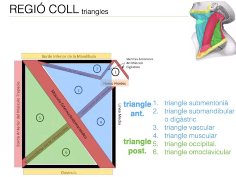 Diapositives-ALO-4.pdf