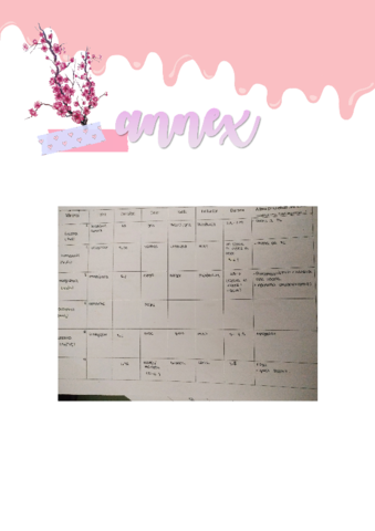 annex.pdf