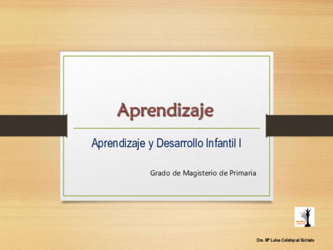 PresentacionAprendizajeyDesarrolloInfantil120182019.pdf