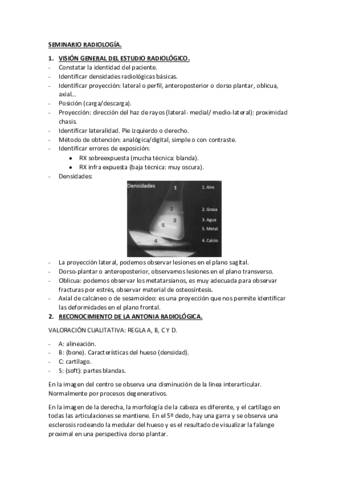 SEMINARIO-RADIOLOGIA.pdf