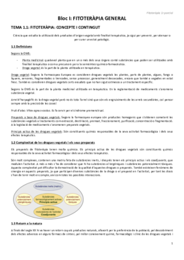 Fitoteràpia 1r P.pdf