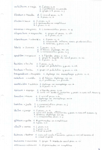 EJERCICIOS-EVOLUCION-FONETICA.pdf