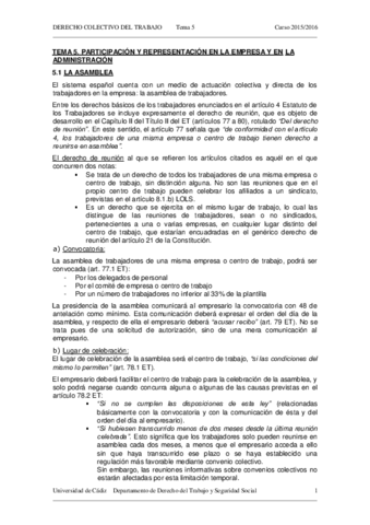TEMA 5 DERECHO COLECTIVO DEL TRABAJO 15-16.pdf