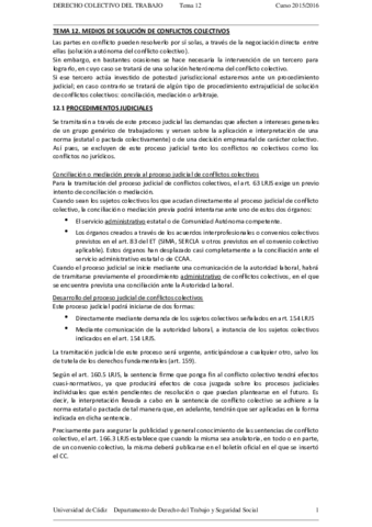 TEMA 12 DERECHO COLECTIVO DEL TRABAJO 15-16.pdf