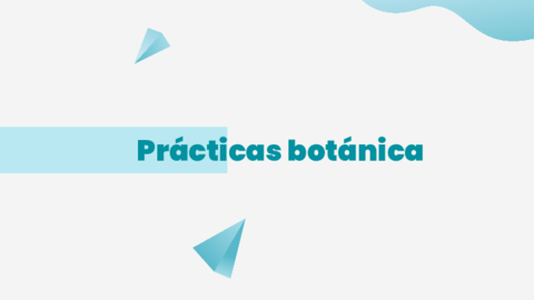 Practicas-botanica.pdf