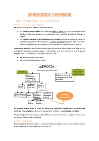 AYMT2Memoria-de-corta-duracion.pdf