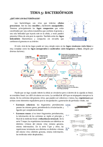 TEMA-5.pdf