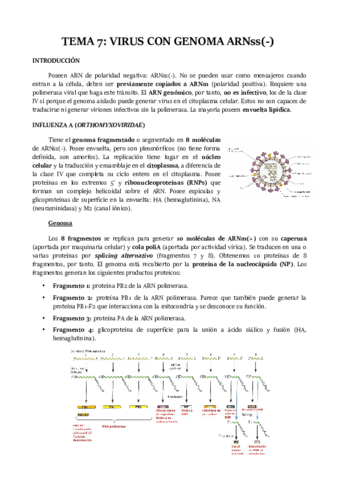 TEMA-7.pdf