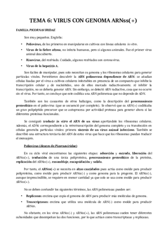 TEMA-6.pdf