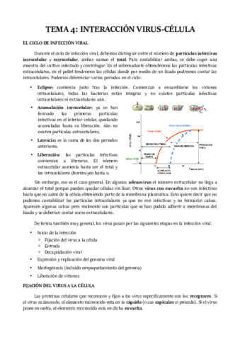 TEMA-4.pdf