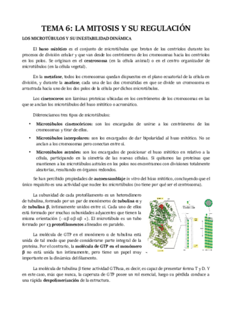 TEMA-6.pdf