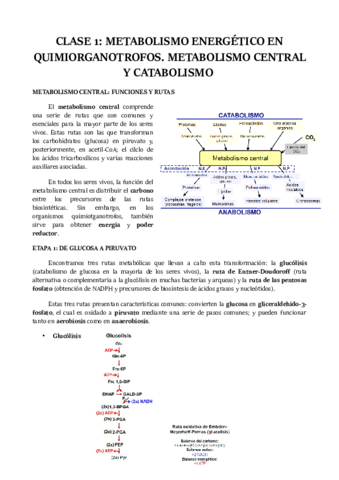 CLASE-1.pdf