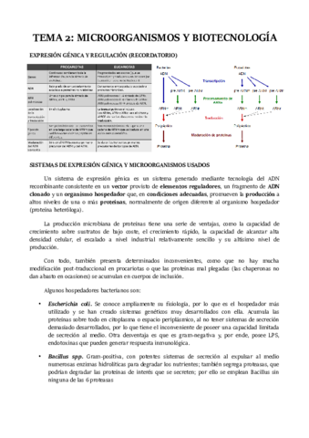 TEMA-2.pdf