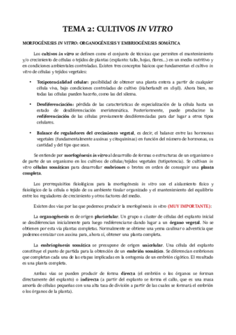 TEMA-2.pdf