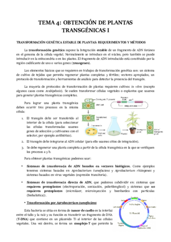 TEMA-4.pdf