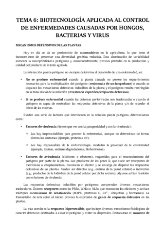 TEMA-6.pdf