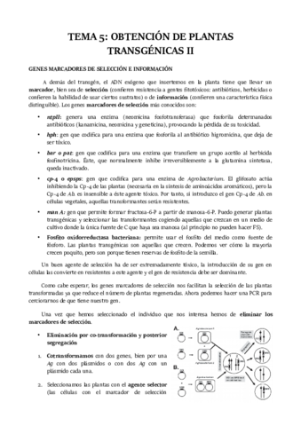 TEMA-5.pdf