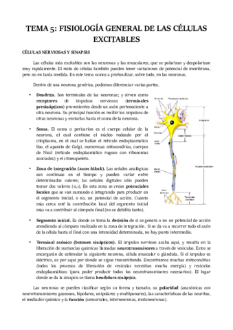 TEMA-5.pdf