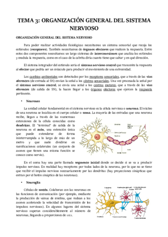 TEMA-3.pdf