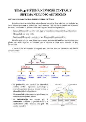 TEMA-4.pdf