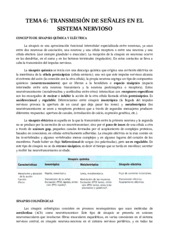 TEMA-6.pdf