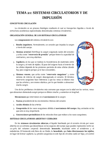 TEMA-21.pdf
