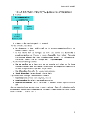 Meninges-y-Liquido-cefalorraquideo.pdf